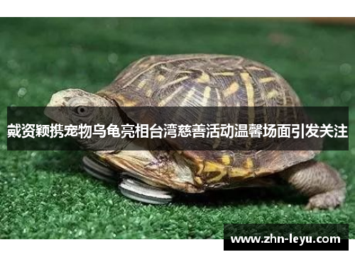 戴资颖携宠物乌龟亮相台湾慈善活动温馨场面引发关注