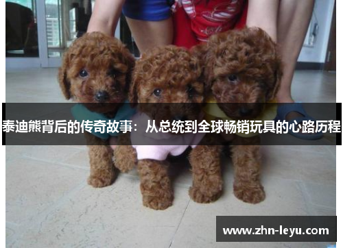 泰迪熊背后的传奇故事：从总统到全球畅销玩具的心路历程