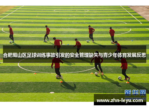 合肥蜀山区足球训练事故引发的安全管理缺失与青少年体育发展反思