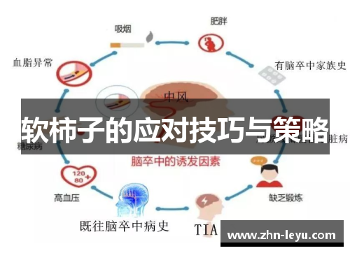 软柿子的应对技巧与策略 软柿子的应对技巧与策略