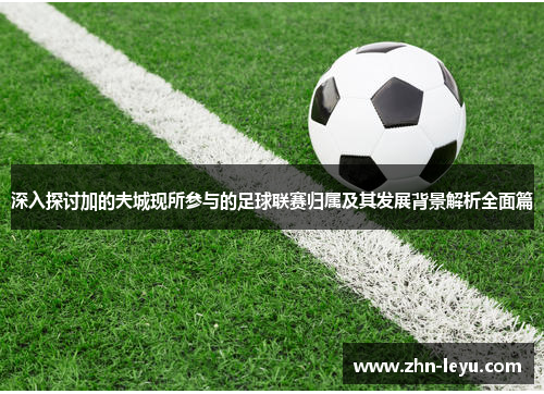 深入探讨加的夫城现所参与的足球联赛归属及其发展背景解析全面篇 深入探讨加的夫城现所参与的足球联赛归属及其发展背景解析全面篇